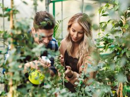 Infamous Celebrity Meltdowns Caught on Camera