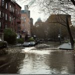 On a Brooklyn Boulevard, Mamdani Revives a Venture Hampered by Scandal